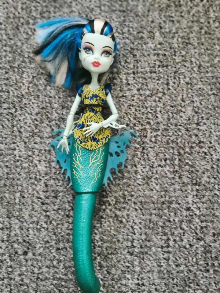 Monster high Puppen in Kiel