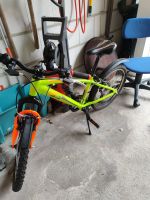 Prophete REX Mountainbike 20 Zoll Nordrhein-Westfalen - Rheda-Wiedenbrück Vorschau