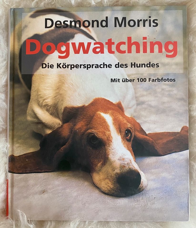 Desmond Morris - Dogwatching - sehr gut in Marl