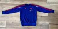 FC Bayern München Matchworn Pullover Kr. Dachau - Dachau Vorschau