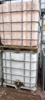 1000 L IBC Container gebraucht je 70€ Rheinland-Pfalz - Halsenbach Vorschau