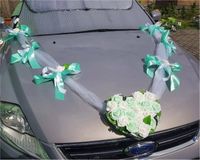 AutoAutoschmuck Hochzeit Autogirlande Weiß Mint Rosen Neu Nordrhein-Westfalen - Neunkirchen-Seelscheid Vorschau