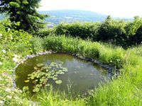 Idyllisches Garten- und Freizeitgrundstück mit Panoramablick Hessen - Witzenhausen Vorschau