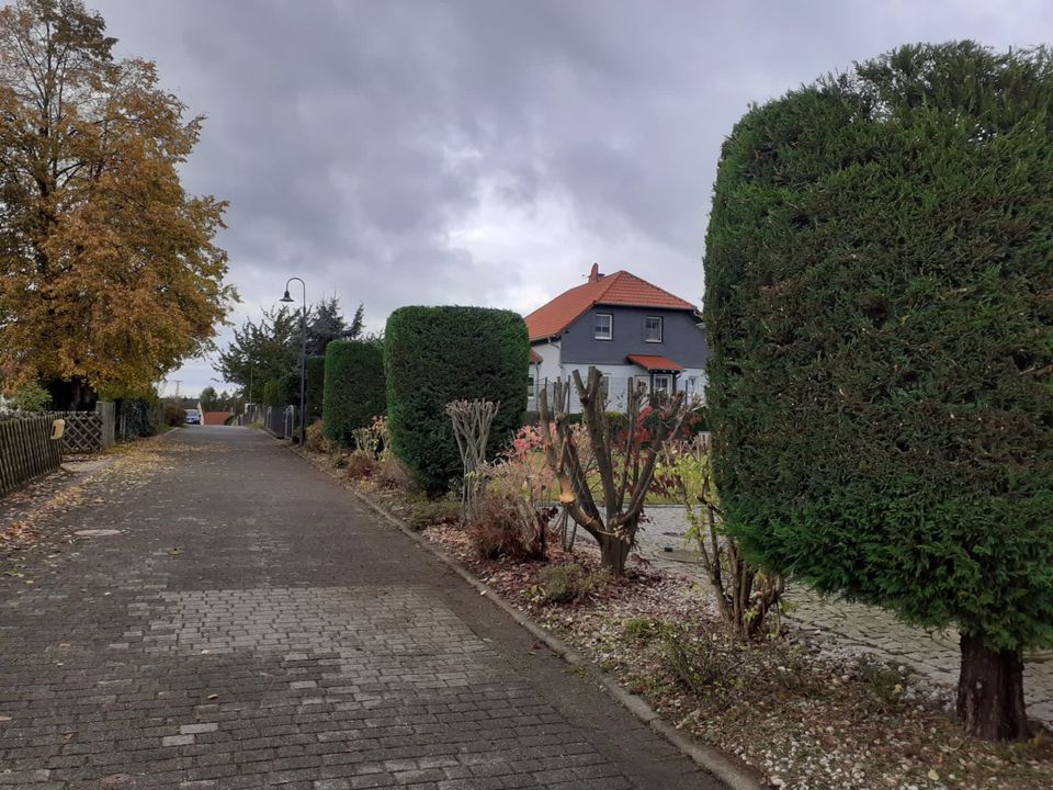Garten -und Objektpflege, Grundstückspflege, Heckenschnitt in Colditz