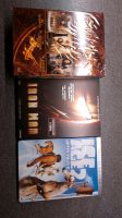 3er Pack DVD's mit ICE AGE 2/IRON MAN/Herr der Ringe Triologie Hannover - Südstadt-Bult Vorschau