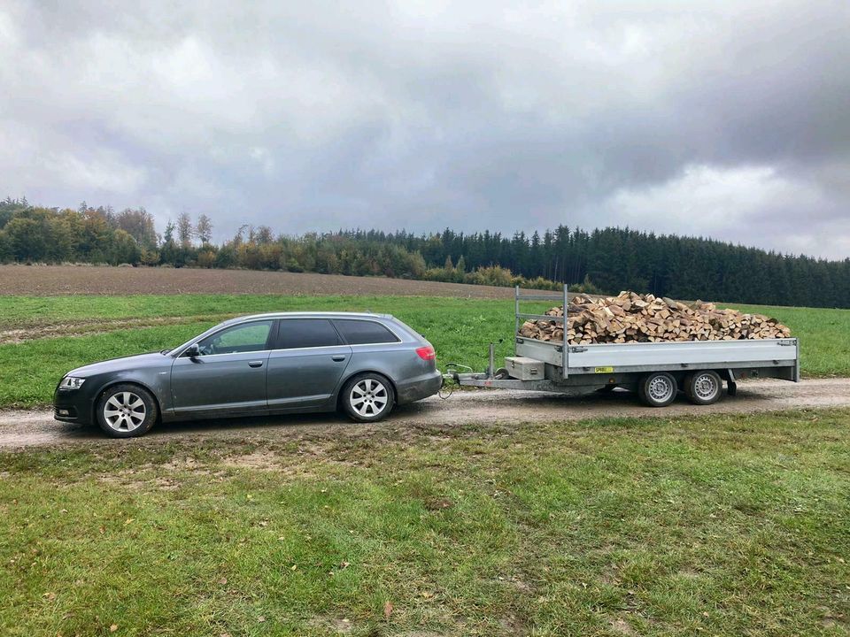 Brennholz  Trommelsäge Lohnsägen in Thannhausen