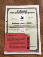 Versicherungsschein Berlinische Feuer Vers. Anstalt Friedrichshain-Kreuzberg - Friedrichshain Vorschau
