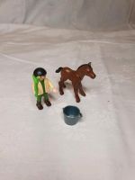 Playmobil 4647 Junge mit Fohlen Bad Zwischenahn - Ofen Vorschau