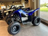 Yamaha YFM110R, Kinderquad, Neufahrzeug * Brandenburg - Lübben Vorschau