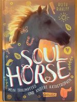 Jugendbuch "Soulhorse" von Ruth Rahlff Niedersachsen - Marklohe Vorschau