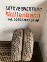 2x TOURADOR 145 70 R13 71T | M+S Allwetterreifen | DOT 2023 | 7mm Rheinland-Pfalz - Müllenbach (bei Adenau) Vorschau