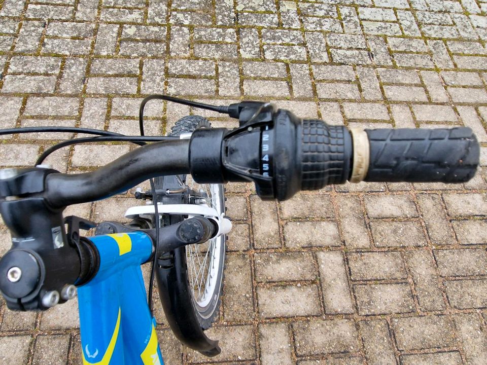20 zoll Mountainbike Kinderfahrrad in Weil am Rhein