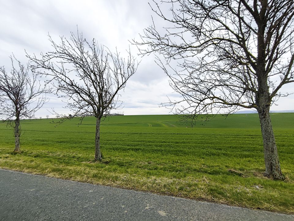 AUKTION: 0,8 ha Landwirtschafts-/Verkehrsfläche in Zettlitz bei Rochlitz