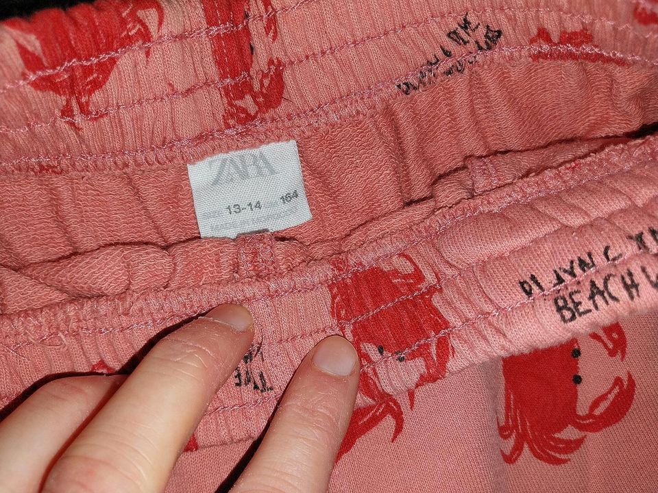 Shorts/kurze Hosen_Gr.158/164/170_Zara/H&M/Manguun_Versand in Obertraubling
