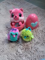 Hatchimals / Hatchimals-Set Schleswig-Holstein - Mielberg Vorschau