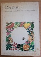 Buch "Die Natur, erlebt und beobachtet mit Vorschulkindern" Sachsen - Wilsdruff Vorschau