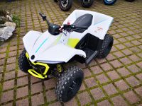 CF MOTO EV 110    Kinder ATV Elektro Sachsen-Anhalt - Wernigerode Vorschau