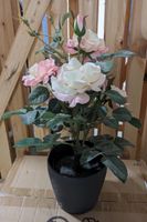 2x Kunstpflanze Rose + Blumentopf Nordrhein-Westfalen - Hürth Vorschau