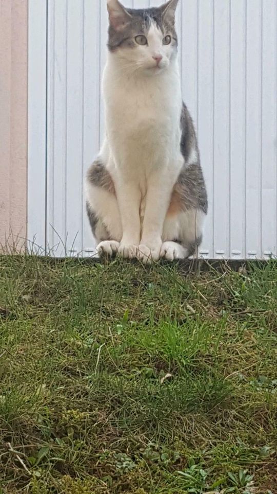 Vermisst! Gestohlen? Unterschlagen in Bottrop