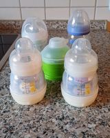 Babyflaschen-Set AVENT, MAM, Lansinoh Schleswig-Holstein - Enge-Sande Vorschau