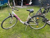 Mc kenzie Fahrrad gebraucht zum verkaufen Hannover - Herrenhausen-Stöcken Vorschau