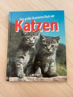 Buch „Das große illustrierte Buch der Katzen“ Sachsen - Limbach-Oberfrohna Vorschau