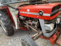 Massey ferguson 135 top Zustand Nordrhein-Westfalen - Paderborn Vorschau