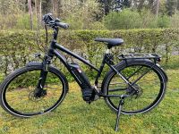 E-Bike / Pedelec Carver Model „Tour E.310“ Modelljahr 2019 Rheinland-Pfalz - Dernbach Vorschau