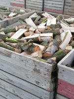 Kamin Holz Buche Eiche Mix, Laubholz Nordrhein-Westfalen - Willich Vorschau