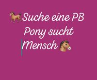 SUCHE! PB Pflegebeteiligung für Pony geführte Spziergänge Sachsen-Anhalt - Biederitz Vorschau
