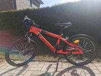 20 ZOLL Kinder Mountainbike /Fahrrad Schleswig-Holstein - Fleckeby Vorschau