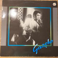 LP Schallplatte Gazebo Album i Like Chopin etc. Bayern - Großmehring Vorschau
