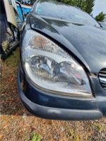 Citroen C5 Scheinwerfer Lampe rechts vorne Bj.2004 Niedersachsen - Bremervörde Vorschau