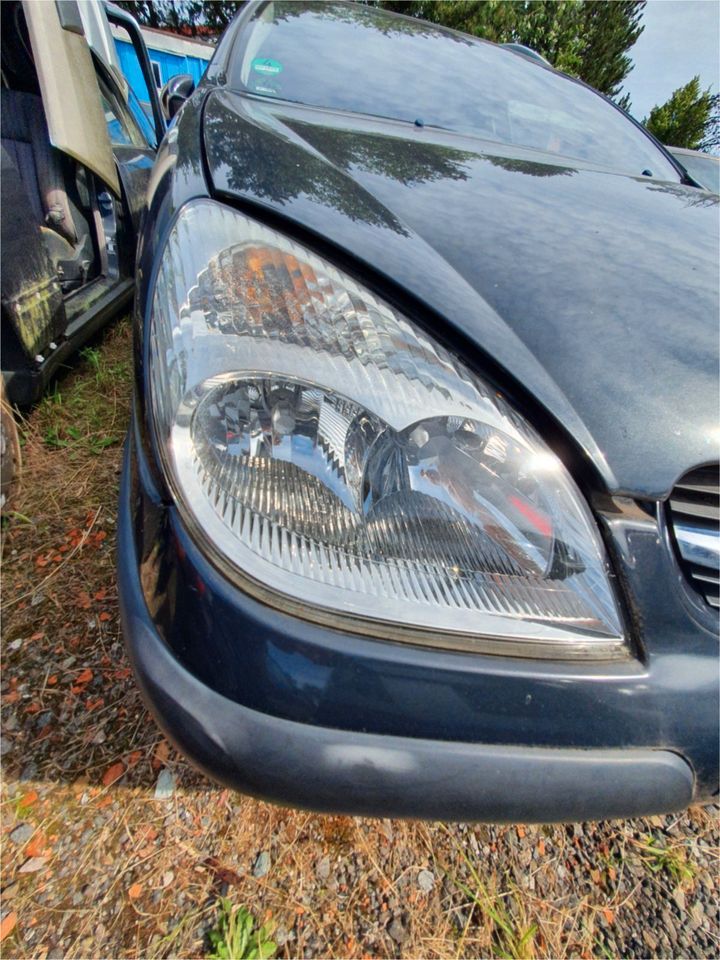 Citroen C5 Scheinwerfer Lampe rechts vorne Bj.2004 in Bremervörde