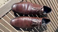 Boss Schuhe braun zu verkaufen Baden-Württemberg - Tettnang Vorschau