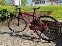 Fahrrad Gudereit C60 Damen 28 Zoll Magura Felgenbremsen Shimano Saarland - St. Wendel Vorschau