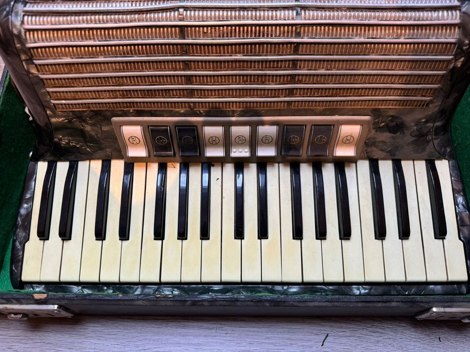 Hohner Akkordeon Tango II M in Stadtkyll