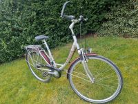 28er, Pegasus, Fahrrad Nordfriesland - Bredstedt Vorschau