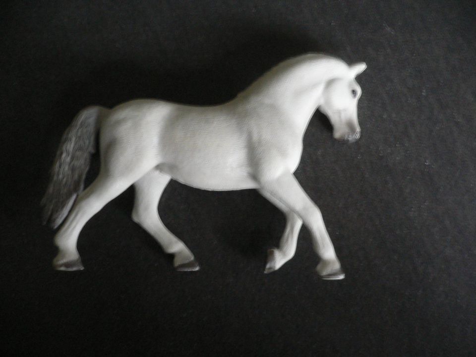 Pferd Horse Schleich Spielzeug Kinder Schimmel in Heusweiler