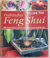 Buch: Praktisches Feng Shui von Lillian Too *Top Zustand* Sachsen - Kesselsdorf Vorschau