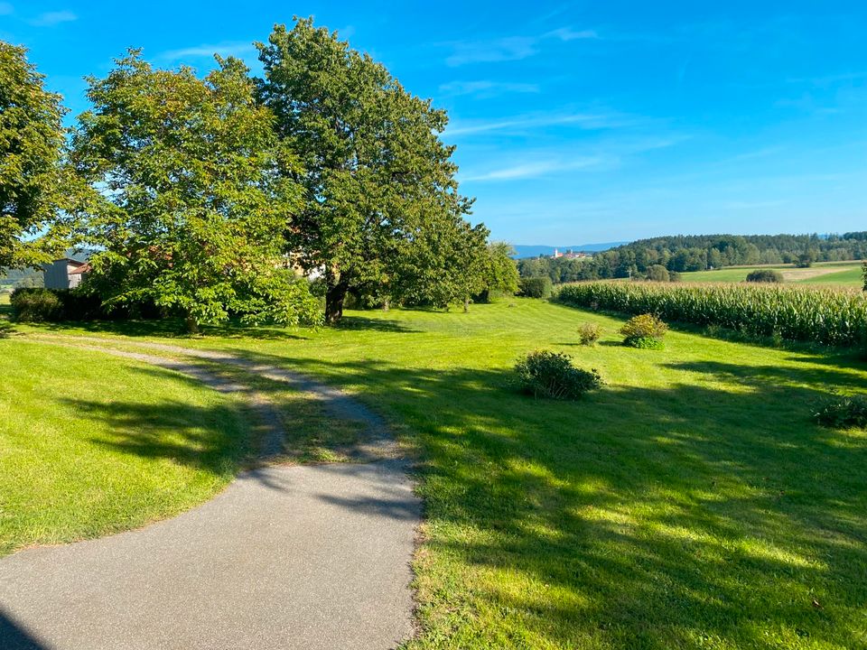 Rest- Hofstelle, die perfekte Ortsrandlage, Wohnhaus, Wirtschaftsgebäude und Stallungen mit traumhaftem Blick!     Weitere Landwirtschaftsflächen zu erwerben! in Tiefenbach Oberpf