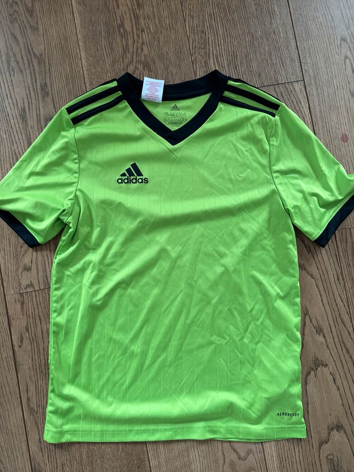 Adidas Sport Shirt, 164 in Bad Ditzenbach