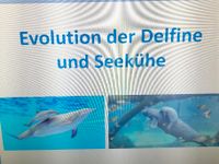 Vortrag /Powerpoint Evolution der Delfine und Seekühe Brandenburg - Rüdersdorf Vorschau