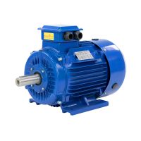 11kW Elektromotor IE3 400/690V Drehstrommotor 2920 U/min B3 01546 Nordrhein-Westfalen - Viersen Vorschau