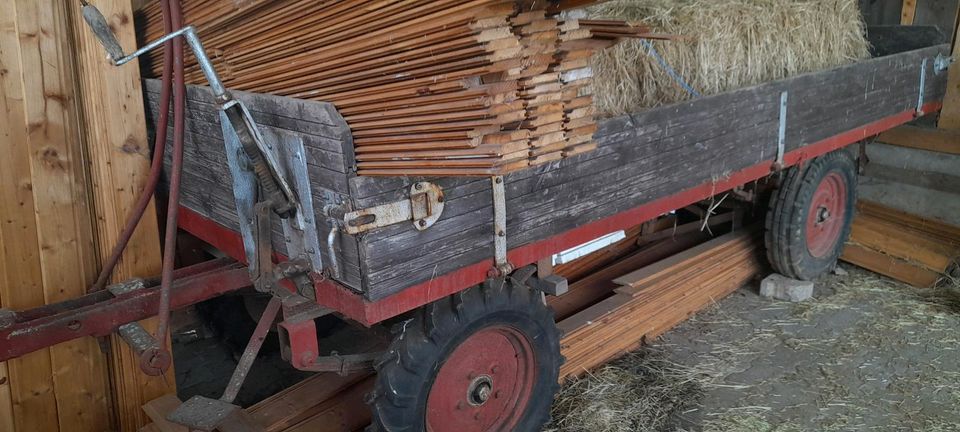 Gummiwagen Hänger Pritsche Pferdehänger in Mülsen