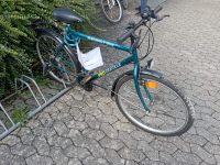 Fahrrad 21 Gang Rheinland-Pfalz - Lahnstein Vorschau