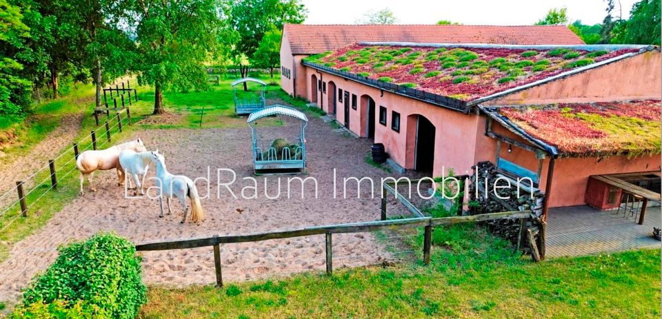 Pferdeanlage - Pferdehof - Reitanlage, 4 FW, 10 ha Land + ca. 5,2 ha Pachtland (bis 31.7.26), Reithalle 20 x 60 m, 2 Aussenreitplätzen (60 x 30 & 30 x 30), Laufstall 16 Pferde+4 Boxen, grosser Scheune in Dreetz