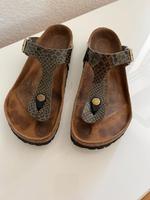 BIRKENSTOCK Gizeh Gr. 38 in Snake grün & gold Lack normale Breite München - Sendling Vorschau