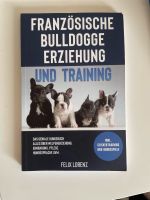 Französische Bulldogge Erziehung Sachsen-Anhalt - Bismark (Altmark) Vorschau