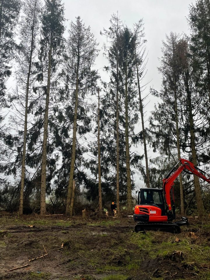 Kubota Minibagger Mieten, Bagger Mieten, in Kirchlinteln